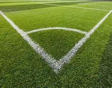 孙兴慜遭种,族歧视,队友被严厉,万博,ManBetX,万博体育官网,万博官网,万博体育下载